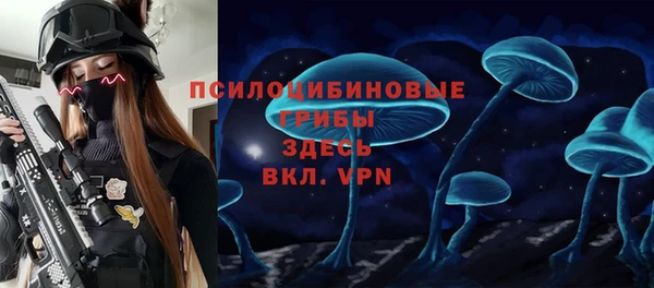 СК Новокубанск