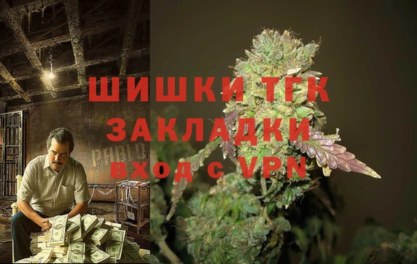 СК Новокубанск