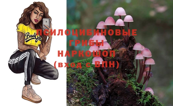 амфетамин Новодвинск
